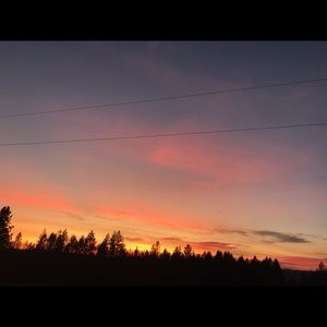 Meet your Posher, Maddy